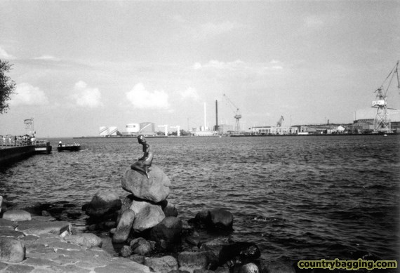 Little Mermaid with oil refinery - www.countrybagging.com