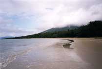 The beach at Cape Tribulation - www.countrybagging.com